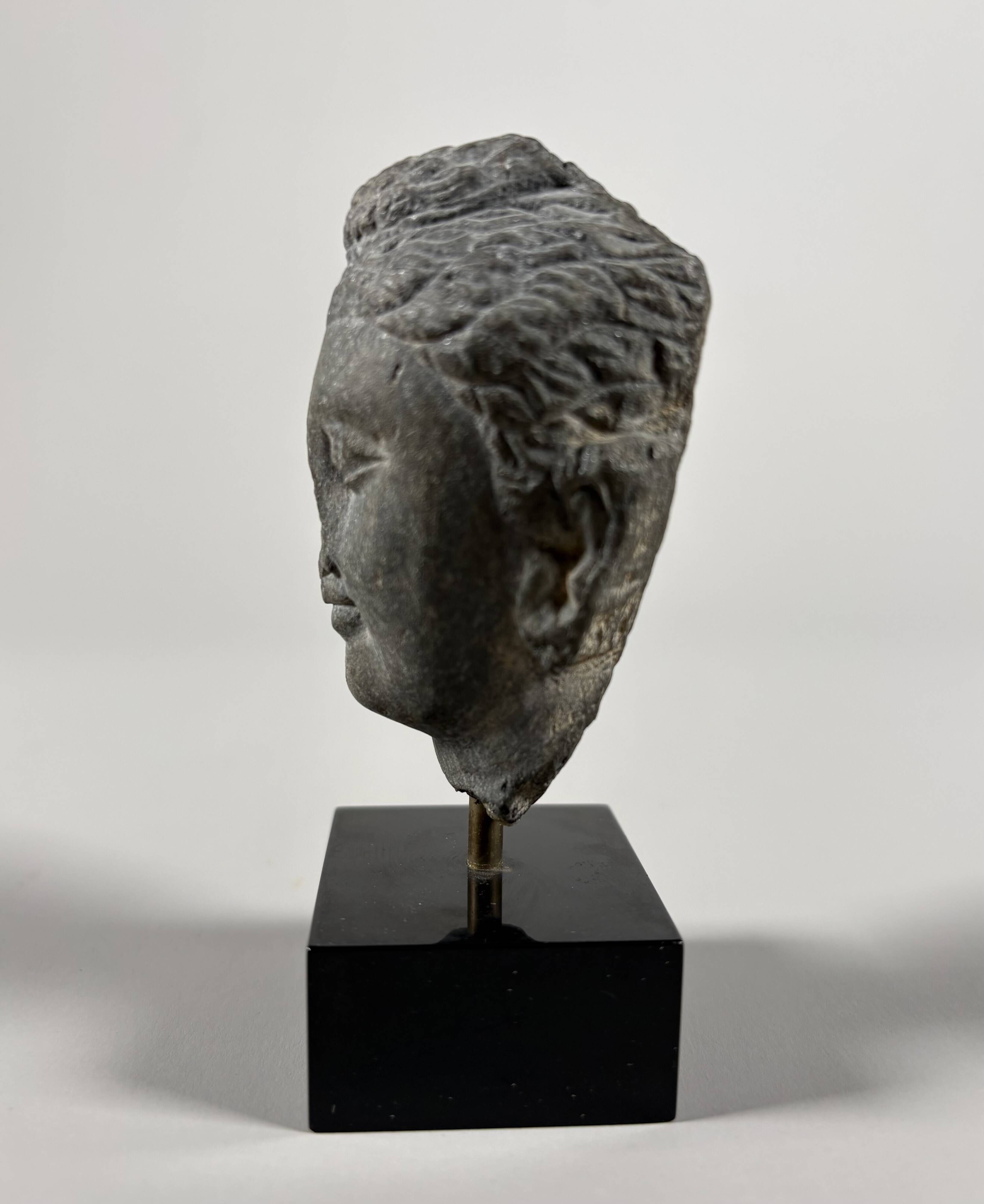 Sculpture of a Buddha head in grey schist from Gandhara, ancient Greece.