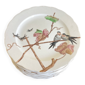 set of 12 polychrome plates 1850 wavy Brownfield England birds