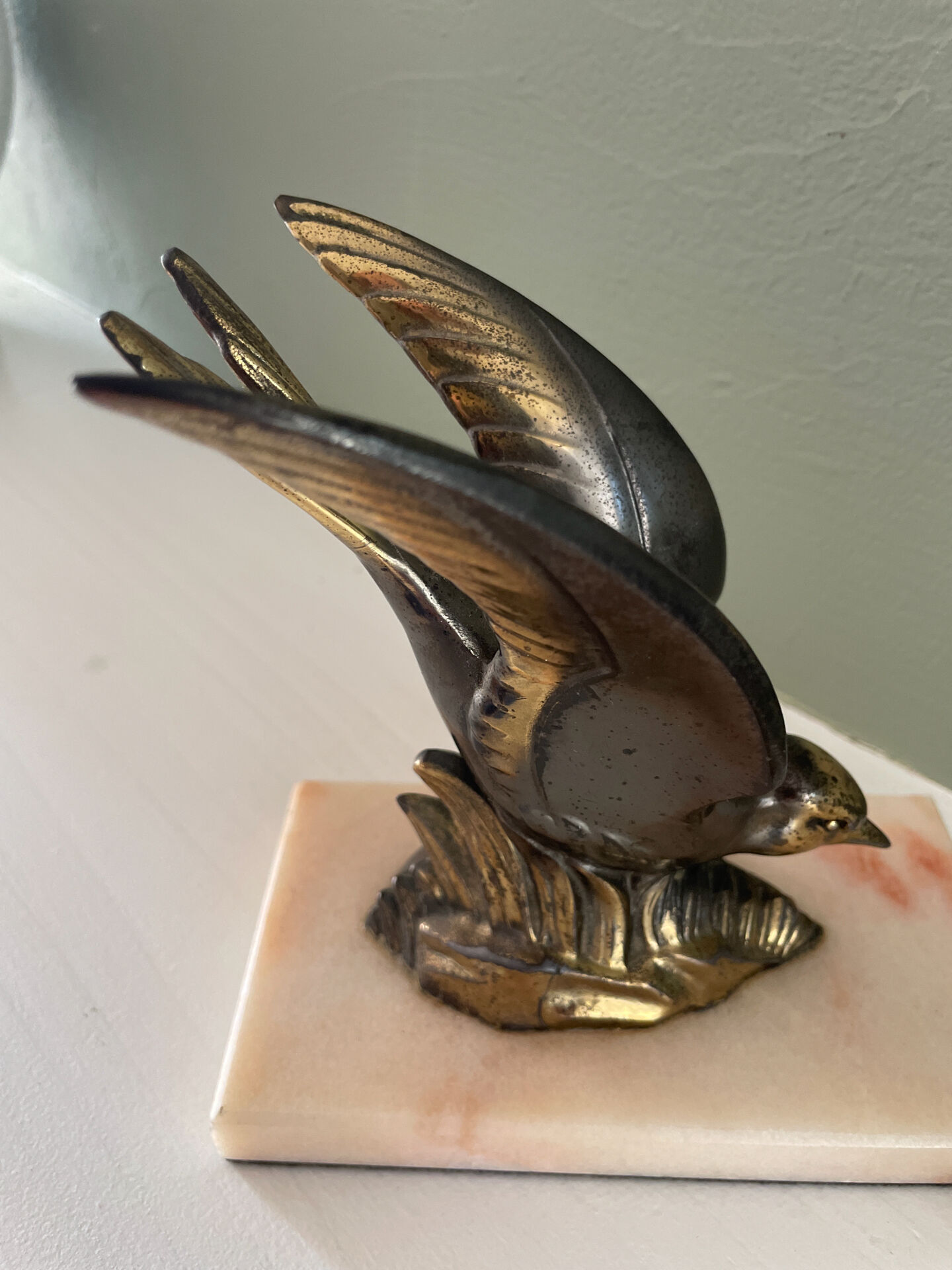 Hirondelle serre livre