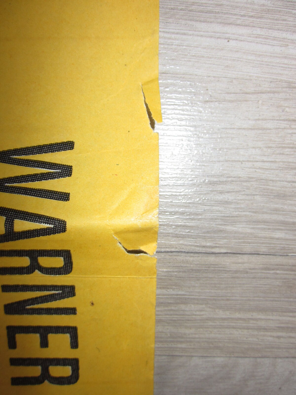 Poster of the film amarcord