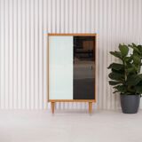 Vintage Scandinavian library - 1960