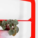 Shelf Model Maui Bibli Fine Alexis Tricoire