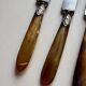 18 Wiskemann table knives in horn