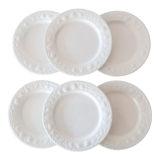 6 flat plates Quadrifoglio