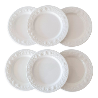 6 assiettes plates Quadrifoglio