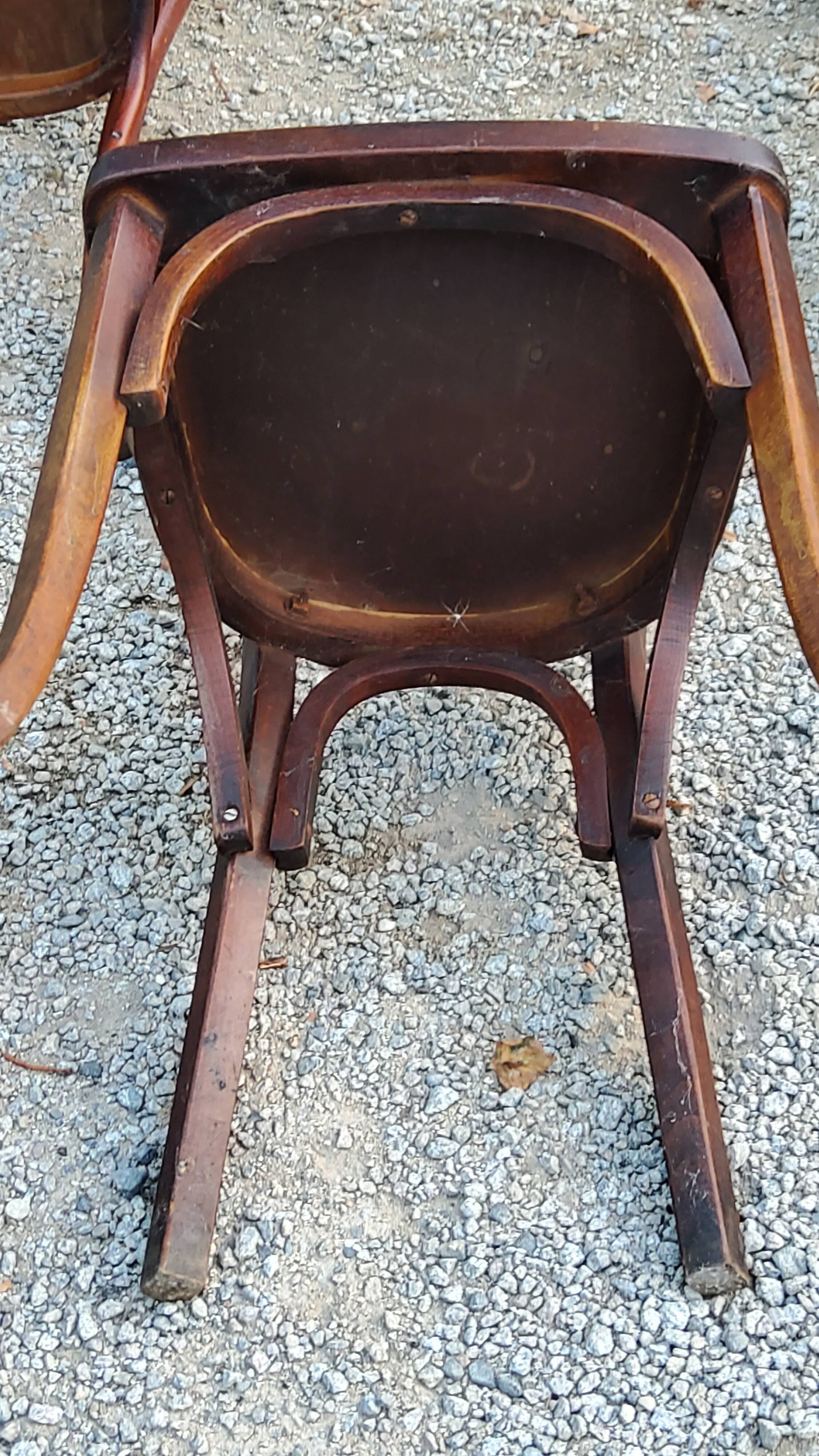 Set of 5 Stella Thonet bistro chairs from the 1950s