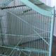 Old wooden and metal birdcage