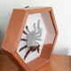Mygale spider naturalized under glass