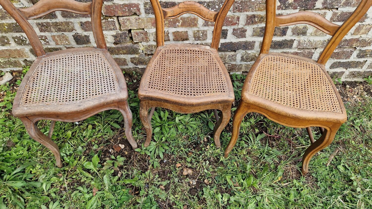 Set of 3 cane chairs