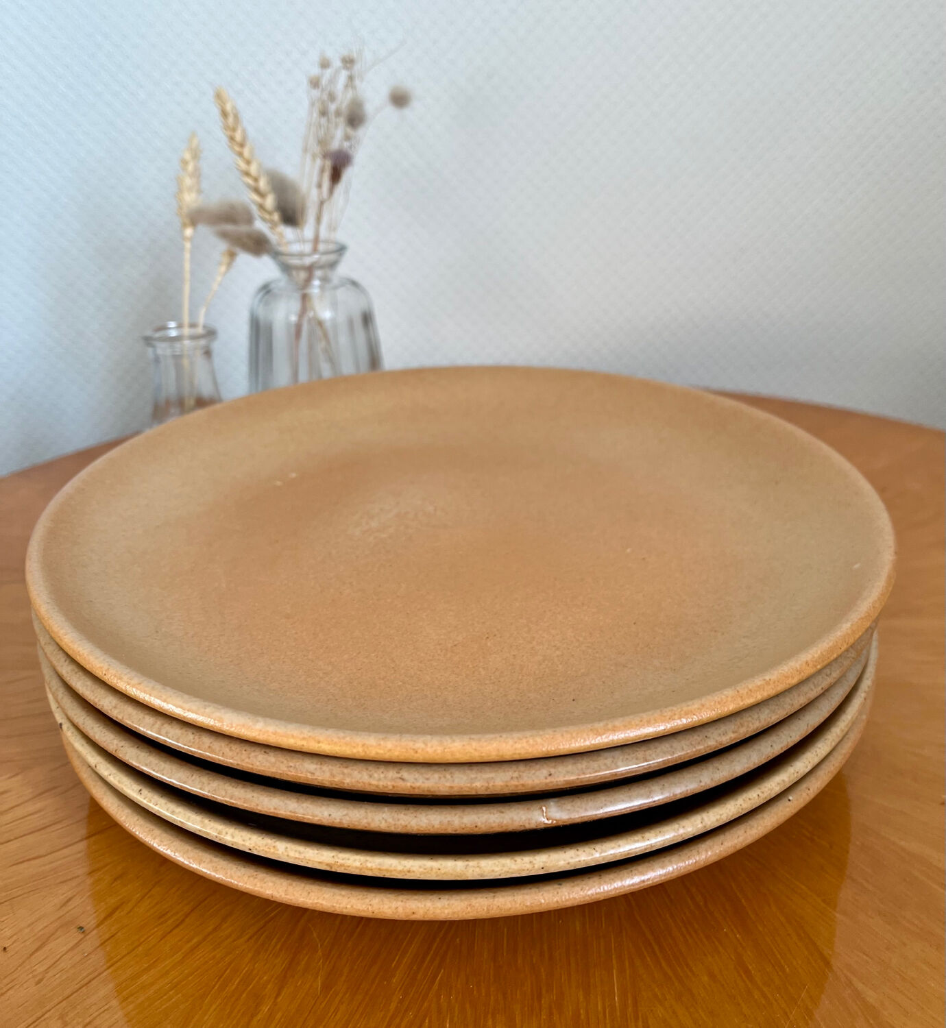 Set of 5 large vintage stoneware dinner plates