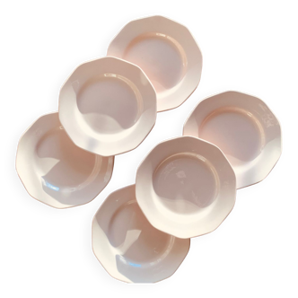 Flat plates x6