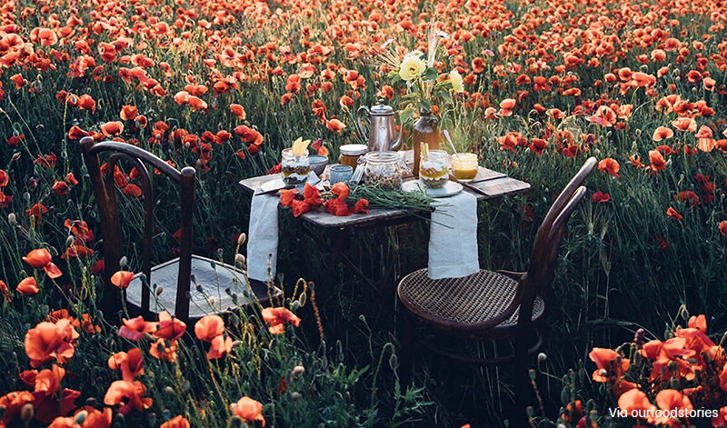 “ALFRESCO LUNCH?”