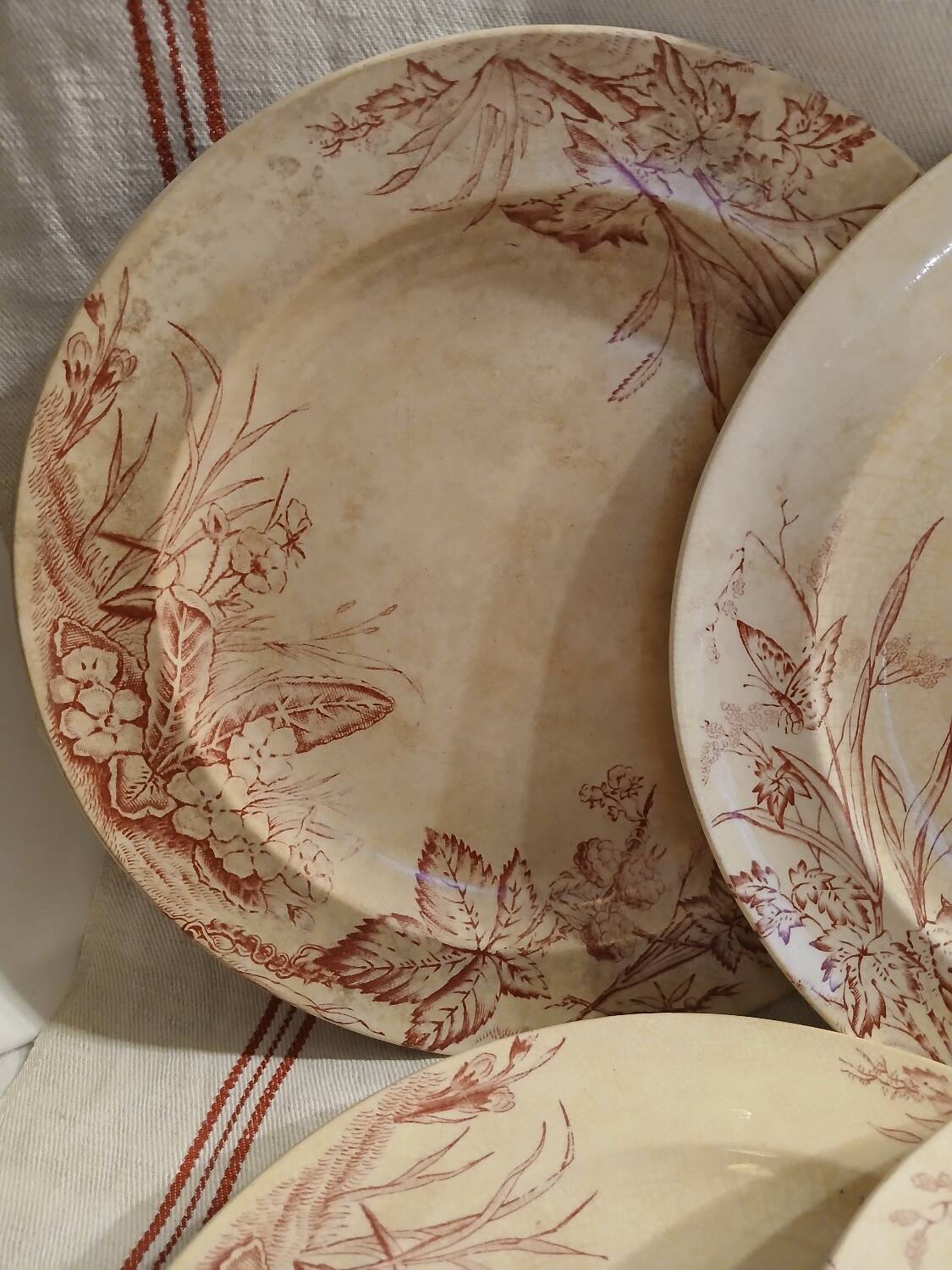 10 antique ironstone dinner plates