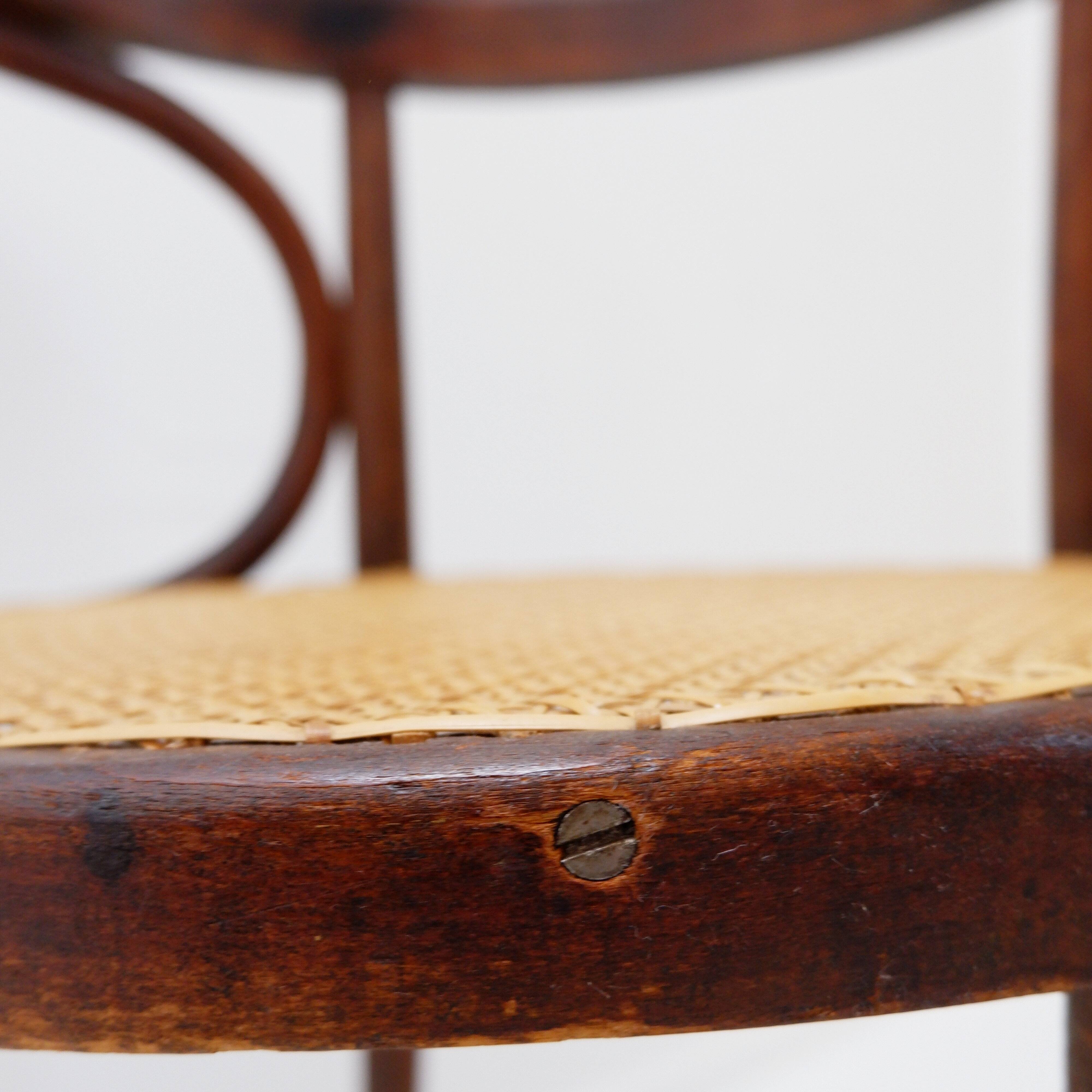Thonet-style bentwood chair or armchair - 1950s