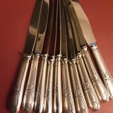 12 large knives ERCUIS