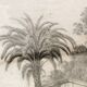 Paire de lithographies encadrées, par G. Engelmann, début 19ème.