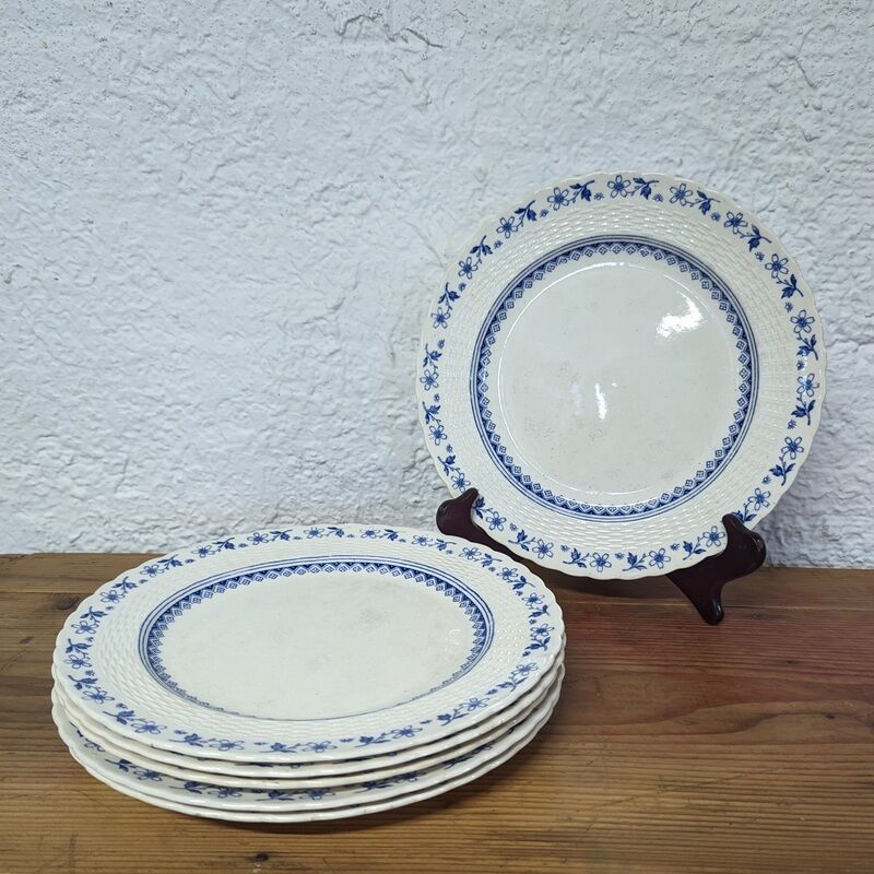 6 large plates Mintons England