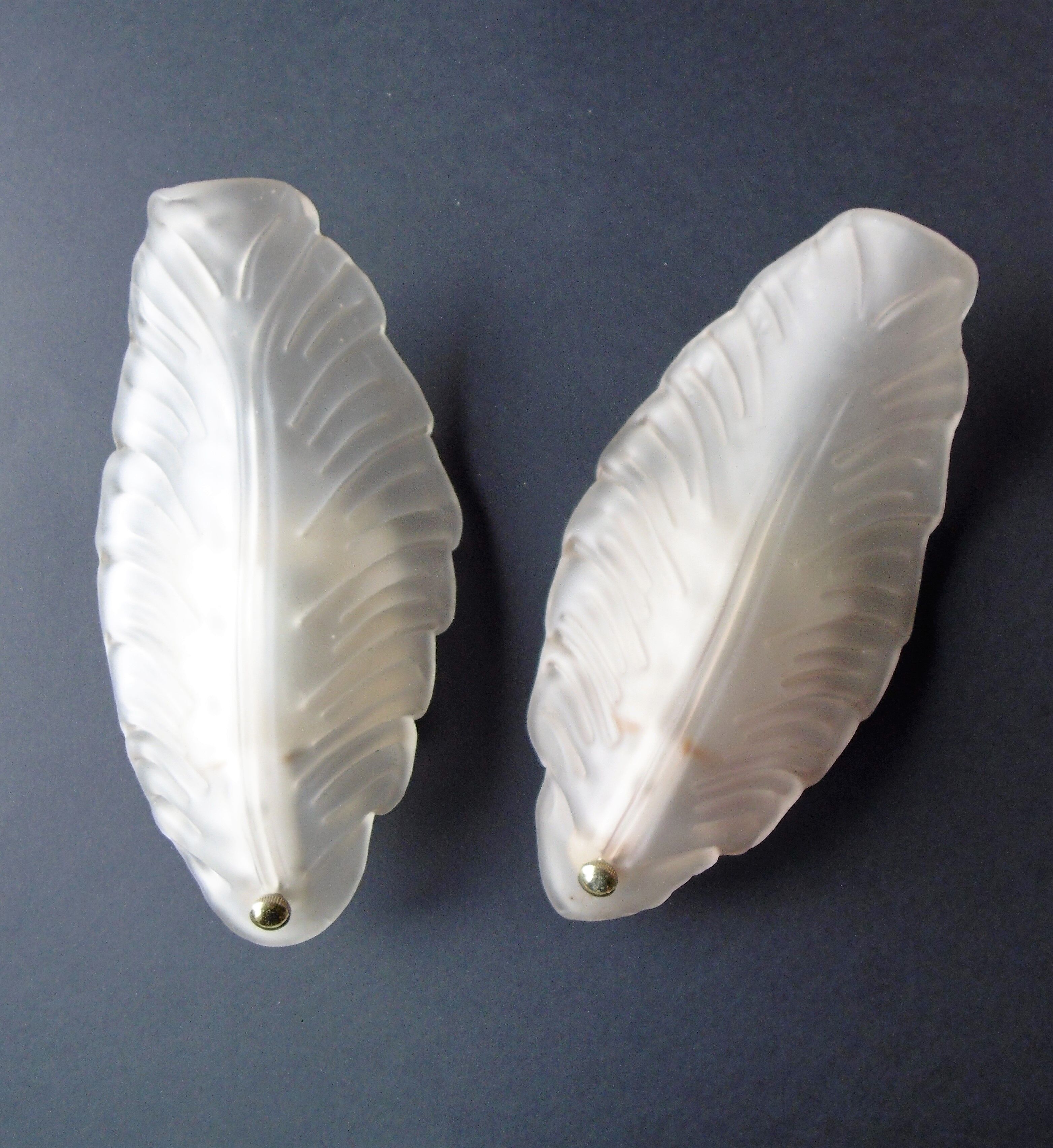 Paire of sconces 1950