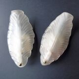 Paire of sconces 1950