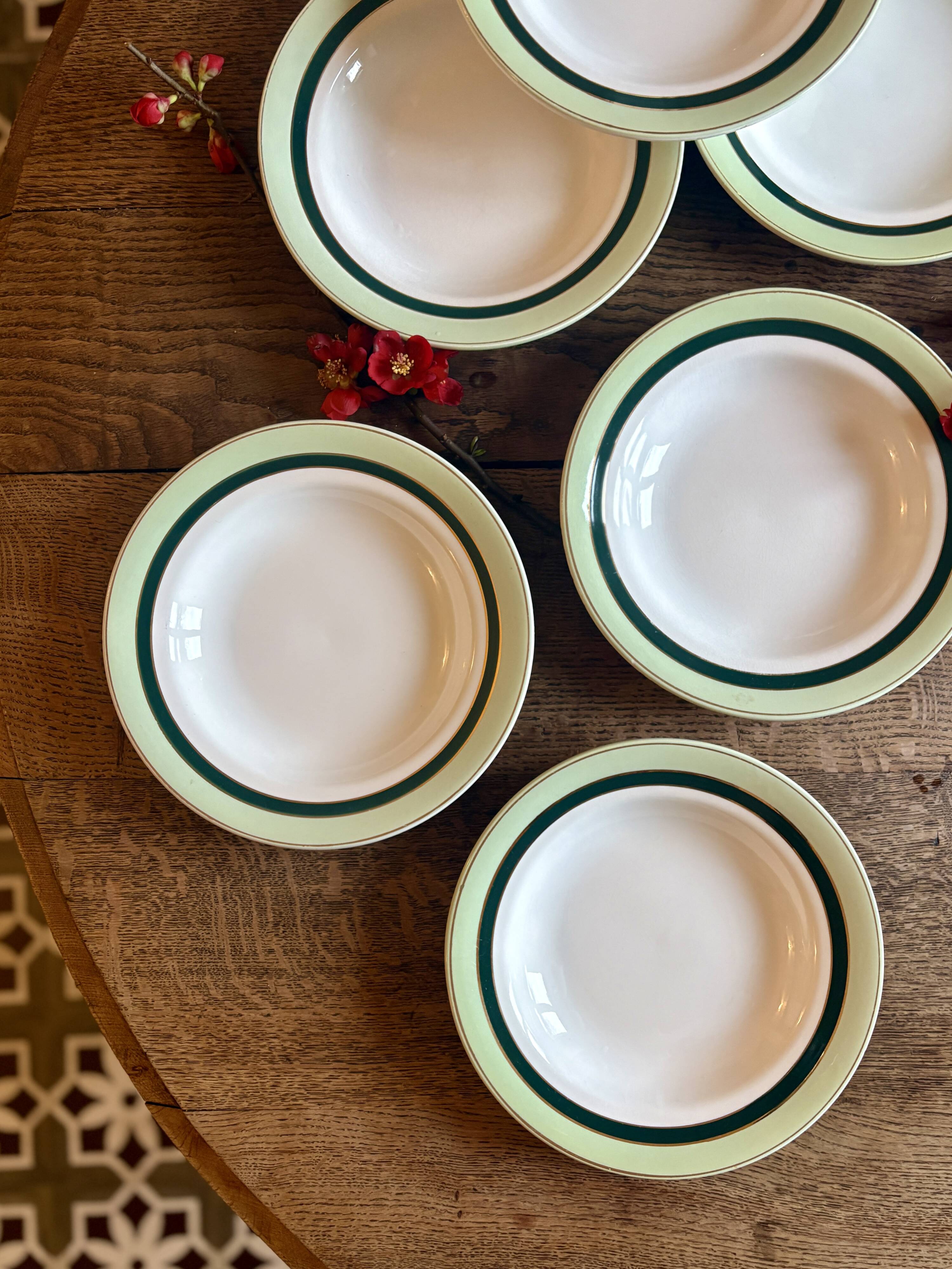 Set of 7 antique deep plates Salins - green Texas -