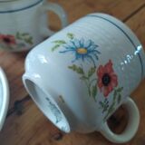 Cups and saucers Pagnossin