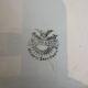 Villeroy Boch dinner plate