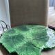 Dish patterns leaves Green color numbered Italy