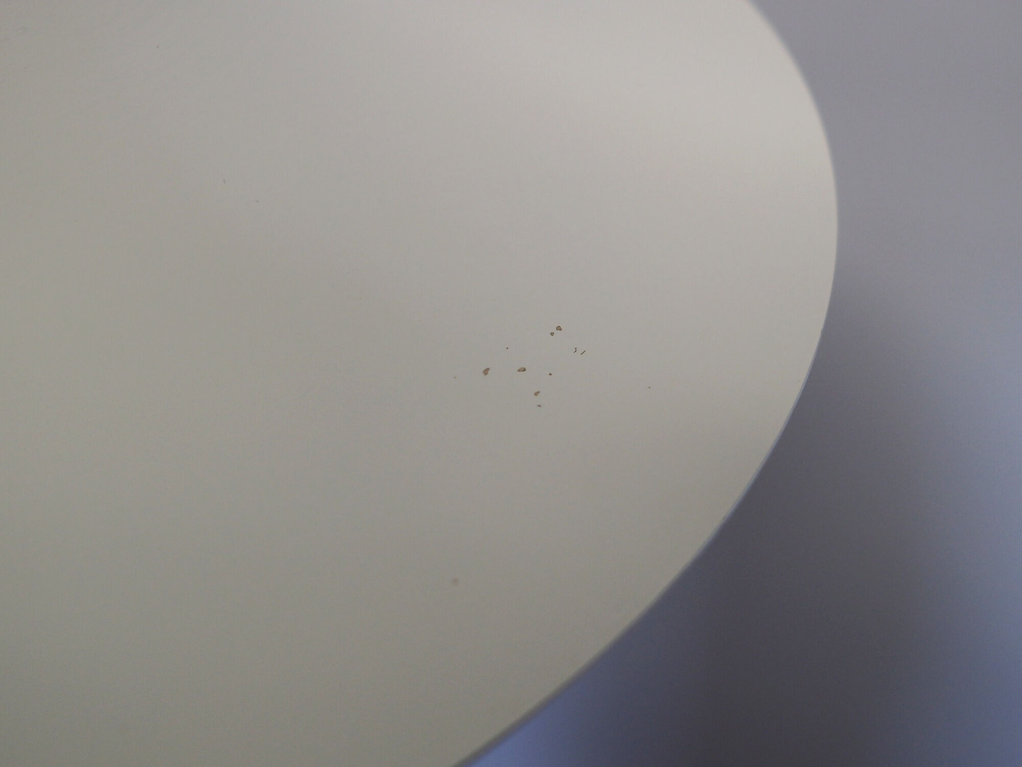 E.S. Horn pendant lamp