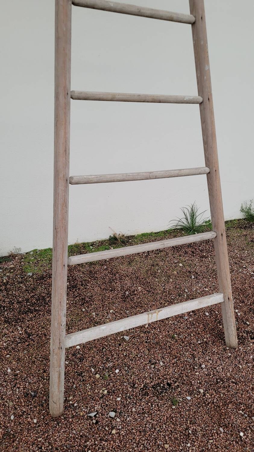 Old wooden fruit harvest market gardener's ladder - 3m65