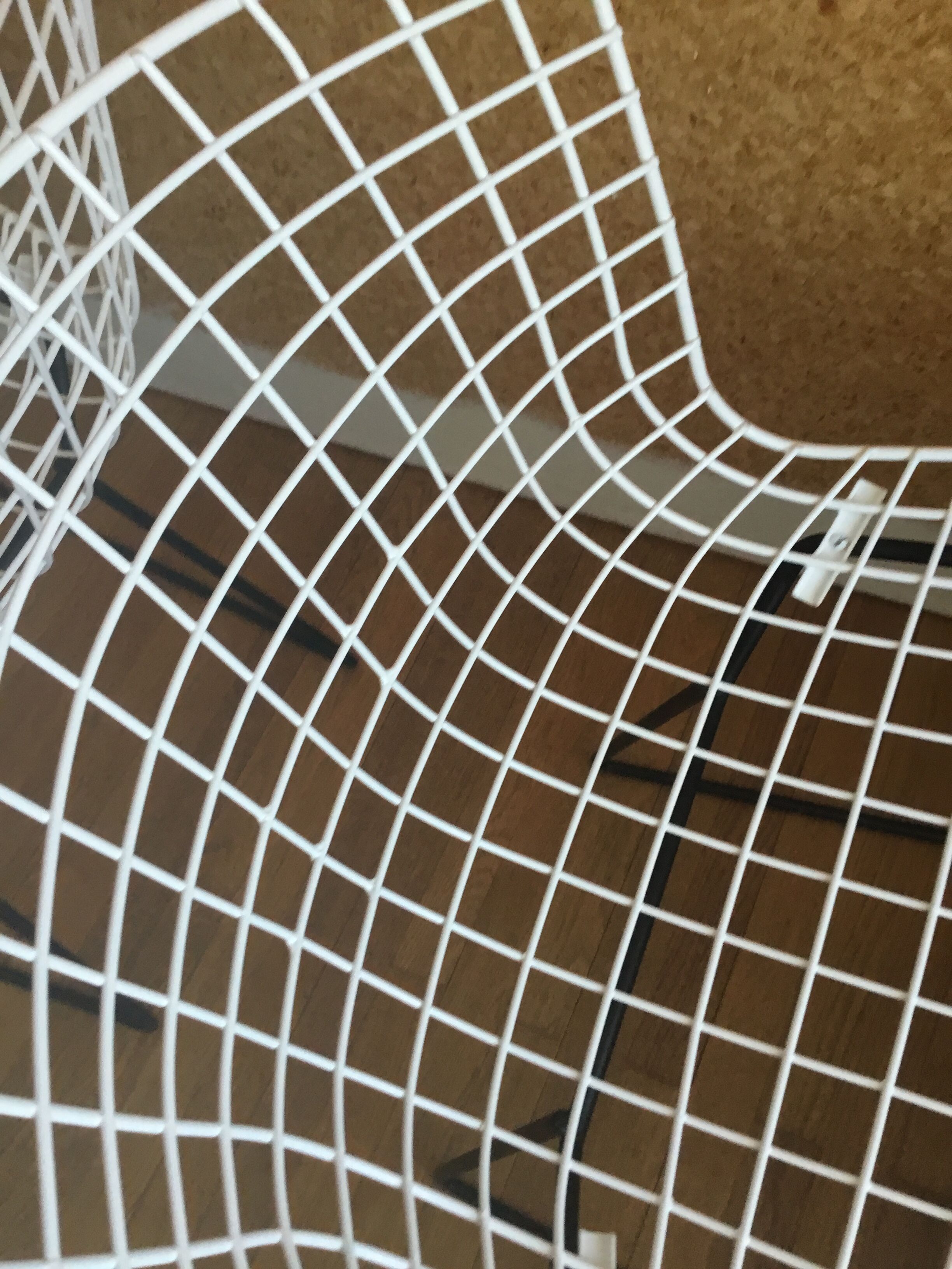 Harry Bertoïa Wire Chairs for Knoll