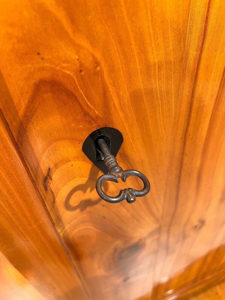 Large Biedermeier Armoire in Cherry, South Germany, 1820s