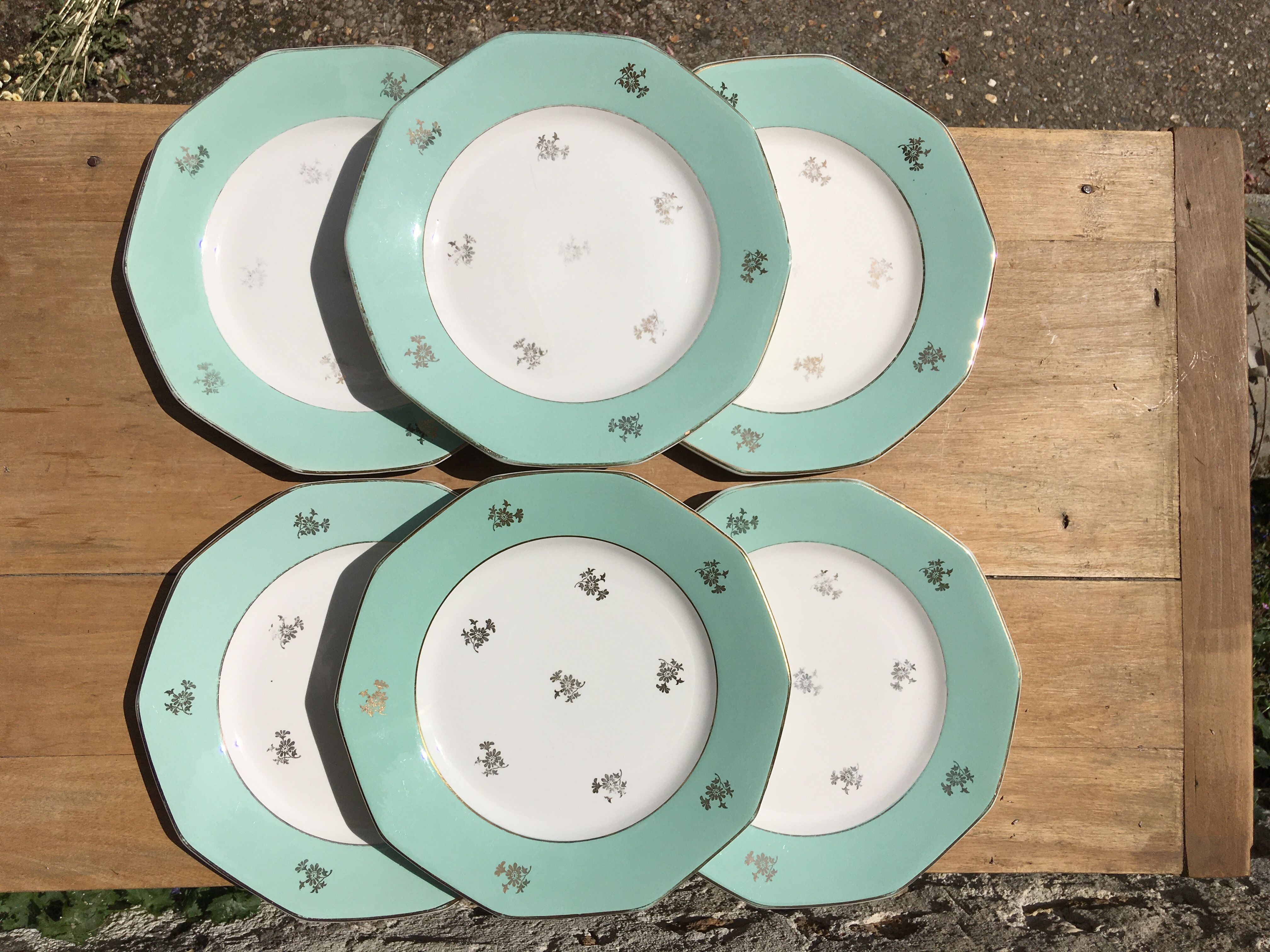 6 flat mint plates and golden flowers