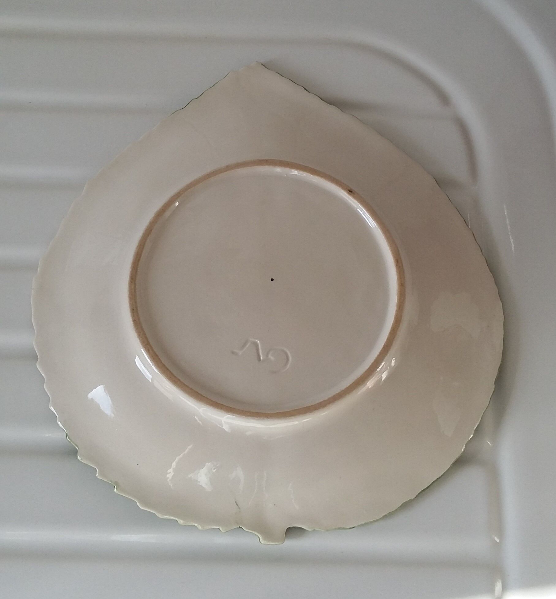 Dish leaf in dabbling