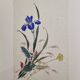 Ancient Japanese watercolour, Iris, Meiji era, around 1900, 33 × 43 cm
