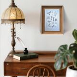 Printed in 1889, the nightshades (Solanaceae). Old botanical plate.