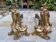 Pair of gilded bronze andirons Louis XV