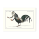 Chimera lithograph animal engraving - the coquandérou