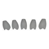 Set of 5 opaline glass tulips