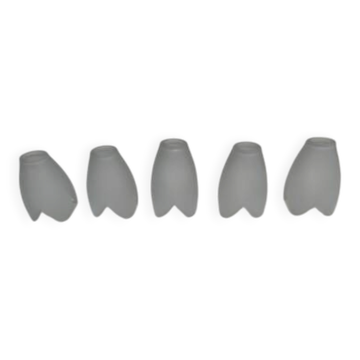 Set of 5 opaline glass tulips