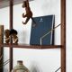 Teak shelving unit, Danish design, 1960s, designer: Poul Cadovius