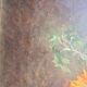 Ancient painting, dead nature with dahlias, signed, dated, late 19th century