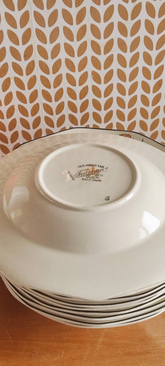 Old Abbey Ware Trianon Saar V& B.M. soup service.