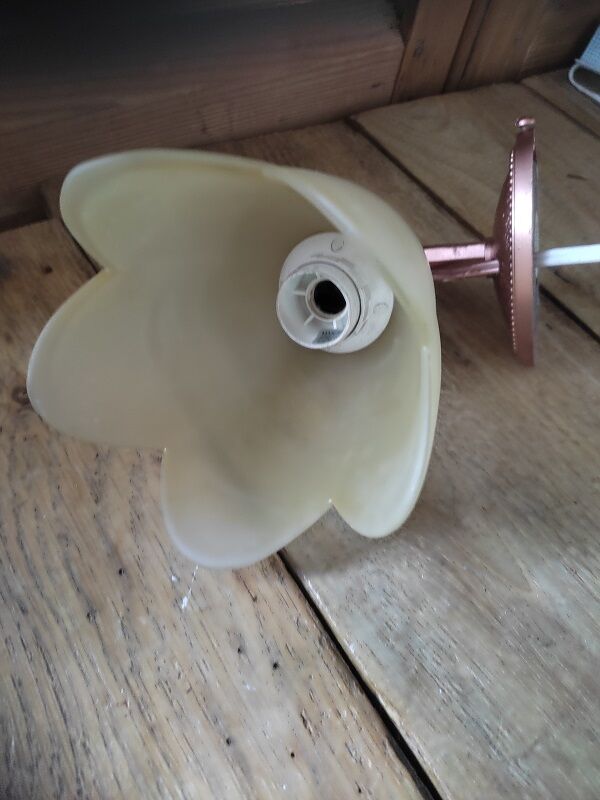 Wall lamp tulip paste frosted glass cast iron pink copper