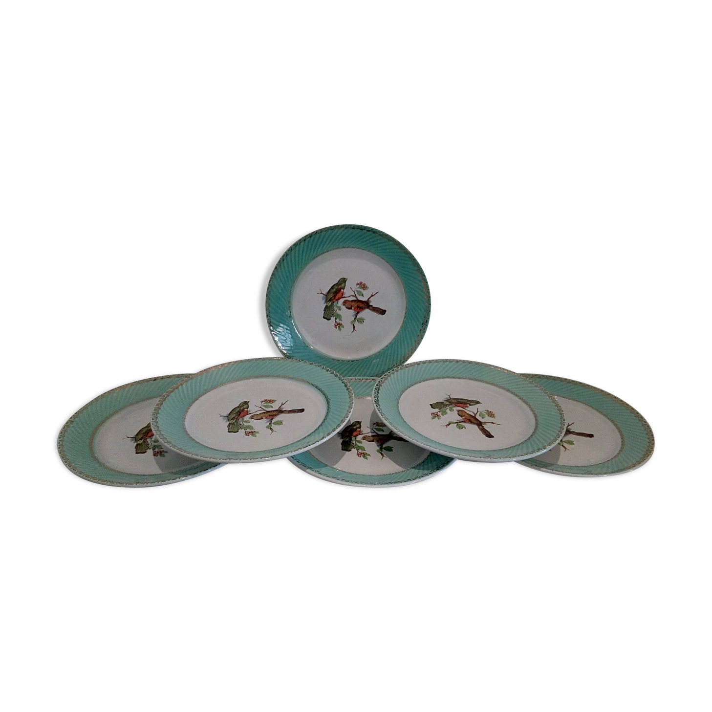 Flat plates water green birds