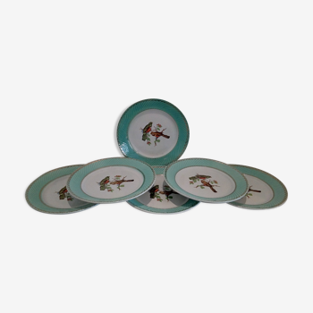 Assiettes plates oiseaux vert d'eau