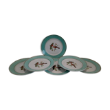 Flat plates water green birds