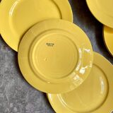12 yellow earthenware dinner plates