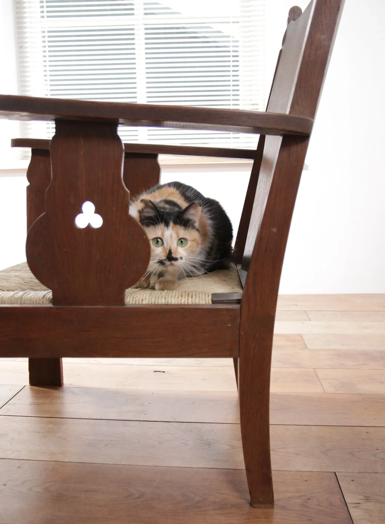 Pair of low Brutalist oak lounge chairs with new rush seats – circa 1935
