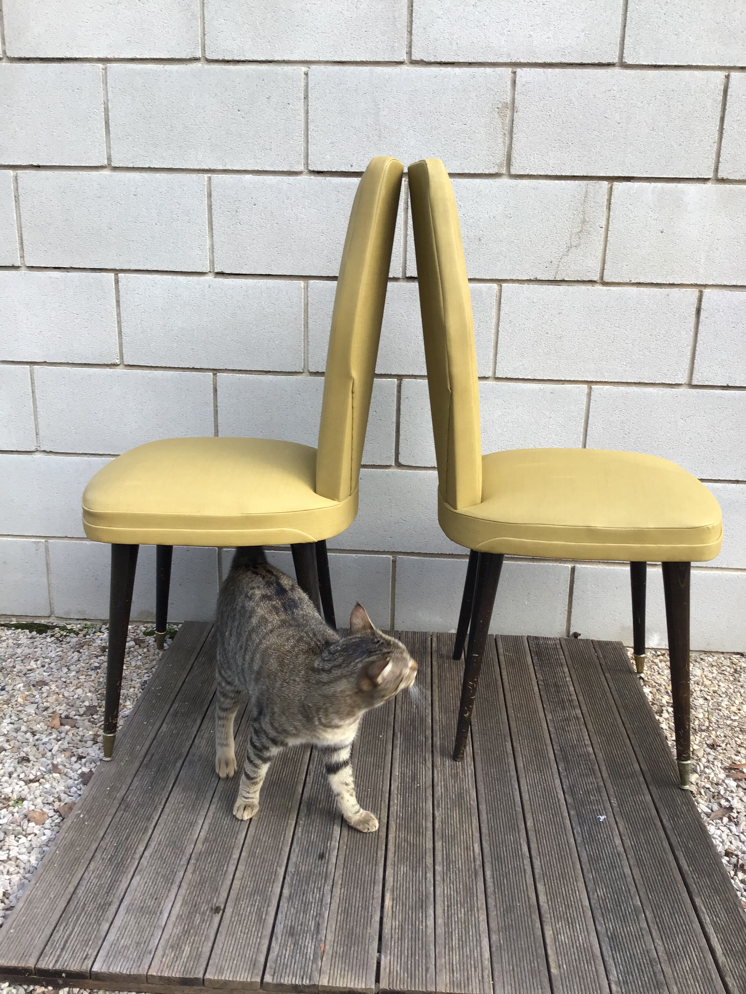 Pair of mustard chairs feet spindles