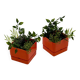Set of 2 Orange Plastic Planters by Vastill, Italy, 1970s